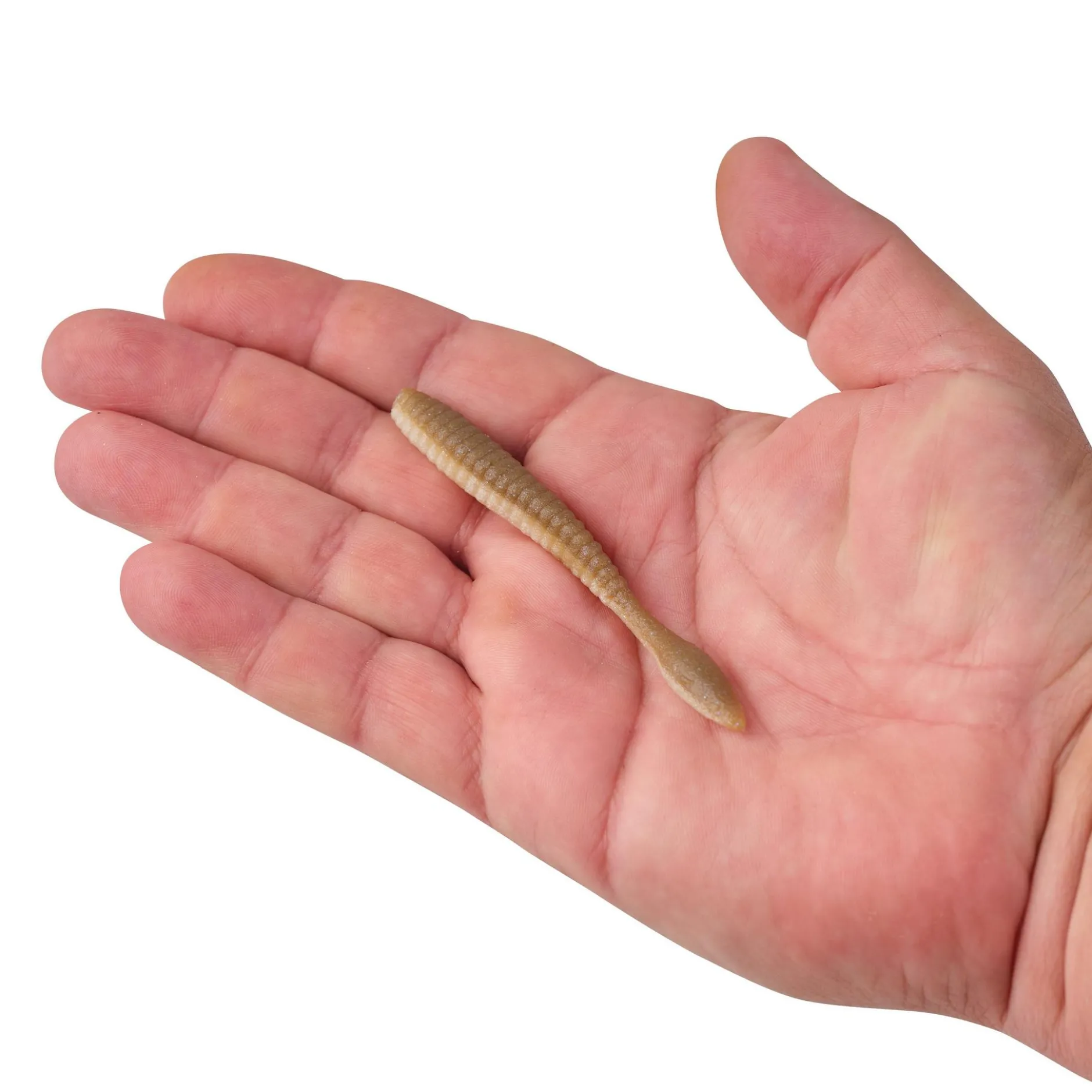 PowerBait® MaxScent Flat Worm