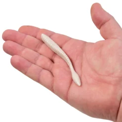 PowerBait® MaxScent Flat Worm
