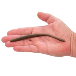 PowerBait® MaxScent Hit Worm Magnum
