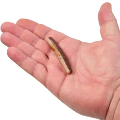 PowerBait® MaxScent Lil' General