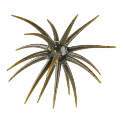 PowerBait® MaxScent 'Moeba