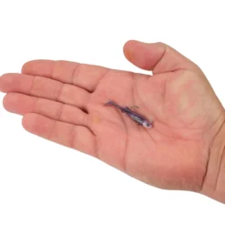 PowerBait® Minnotator