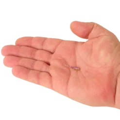 PowerBait® Minnow