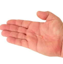 PowerBait® Minnow