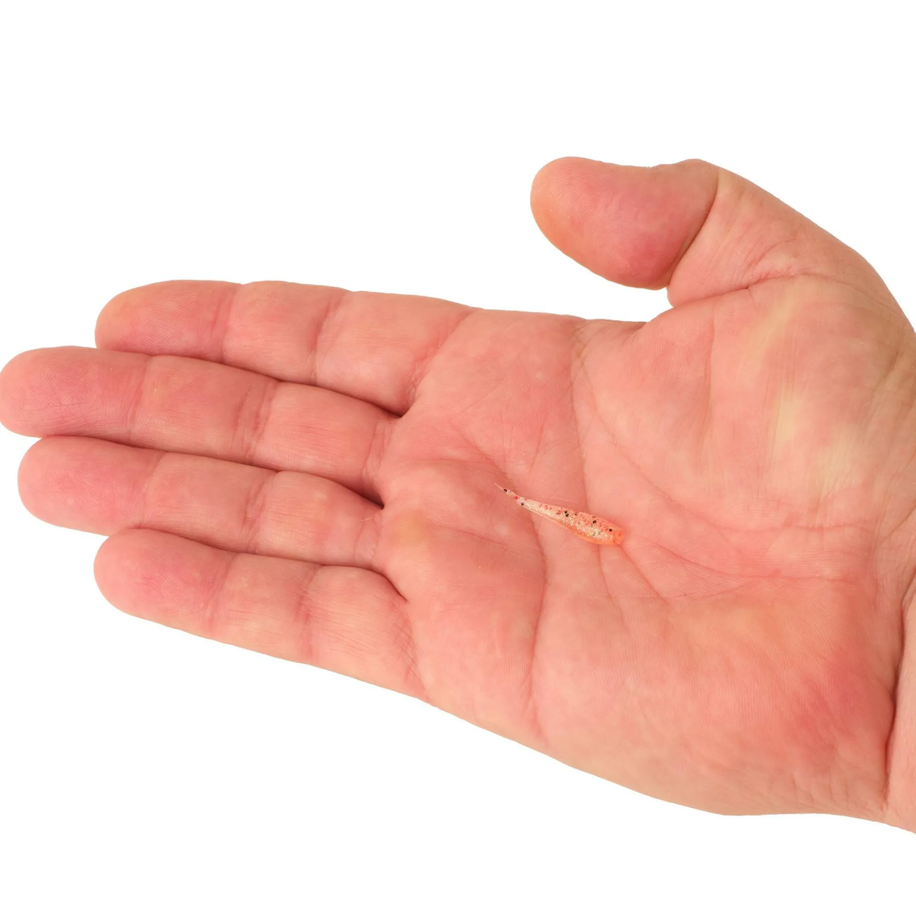 PowerBait® Minnow