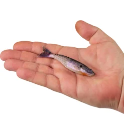 PowerBait® PowerStinger