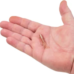 PowerBait® Pre-Rigged Atomic Tubes