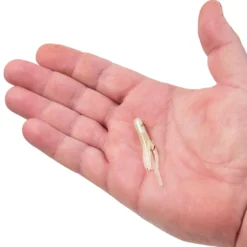 PowerBait® Pre-Rigged Atomic Teasers