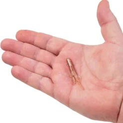 PowerBait® Pre-Rigged Atomic Teasers
