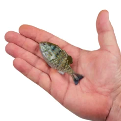 PowerBait® Saltwater Gilly