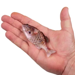 PowerBait® Saltwater Gilly
