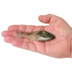 PowerBait® Saltwater Gillydine