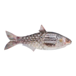 PowerBait® Saltwater Gillydine