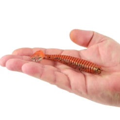 PowerBait® Saltwater Power Swimmer