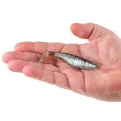 PowerBait® Saltwater The Champ Swimmer