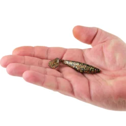 PowerBait® Saltwater The Champ Swimmer