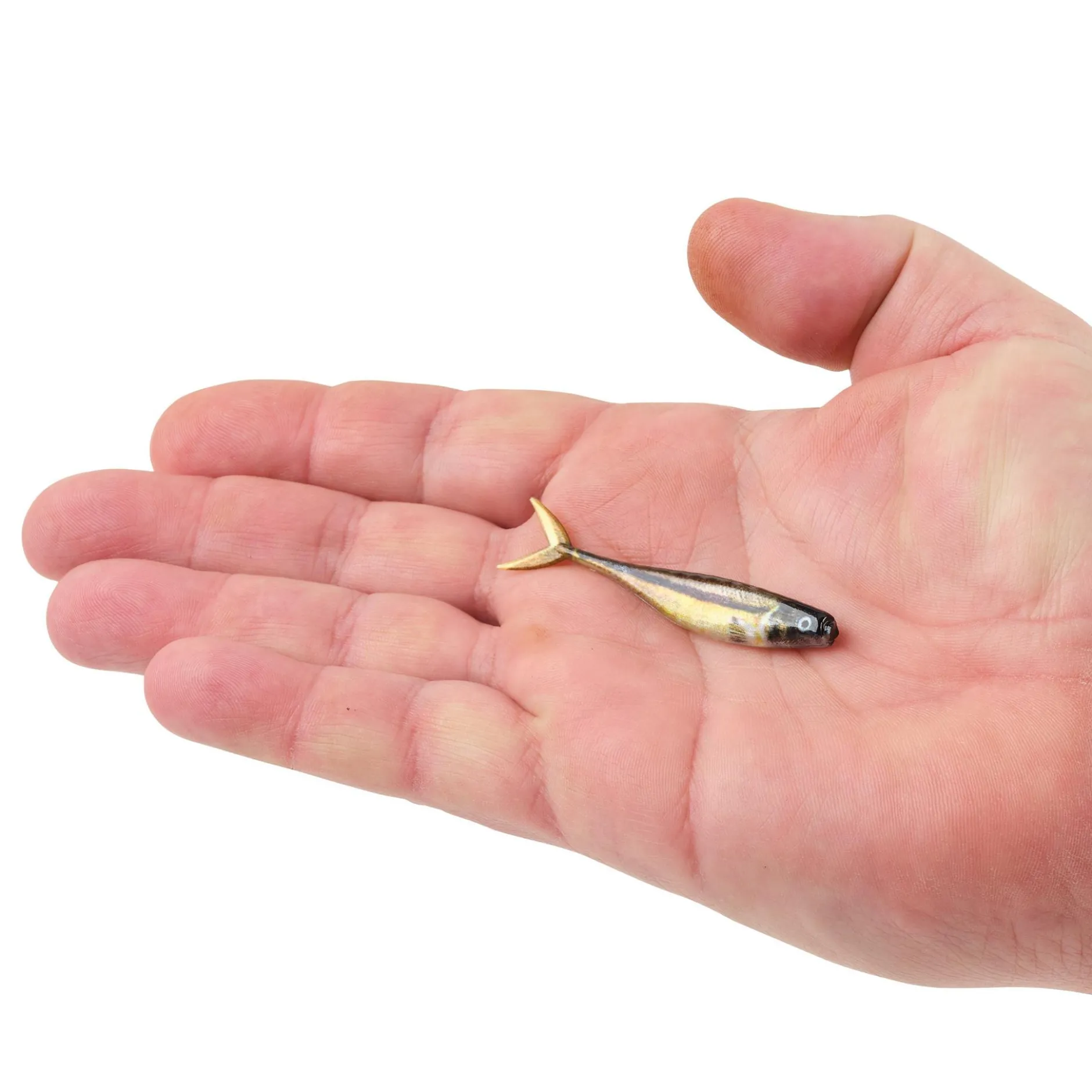 PowerBait® The Champ Minnow