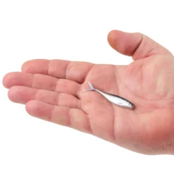PowerBait® The Champ Minnow