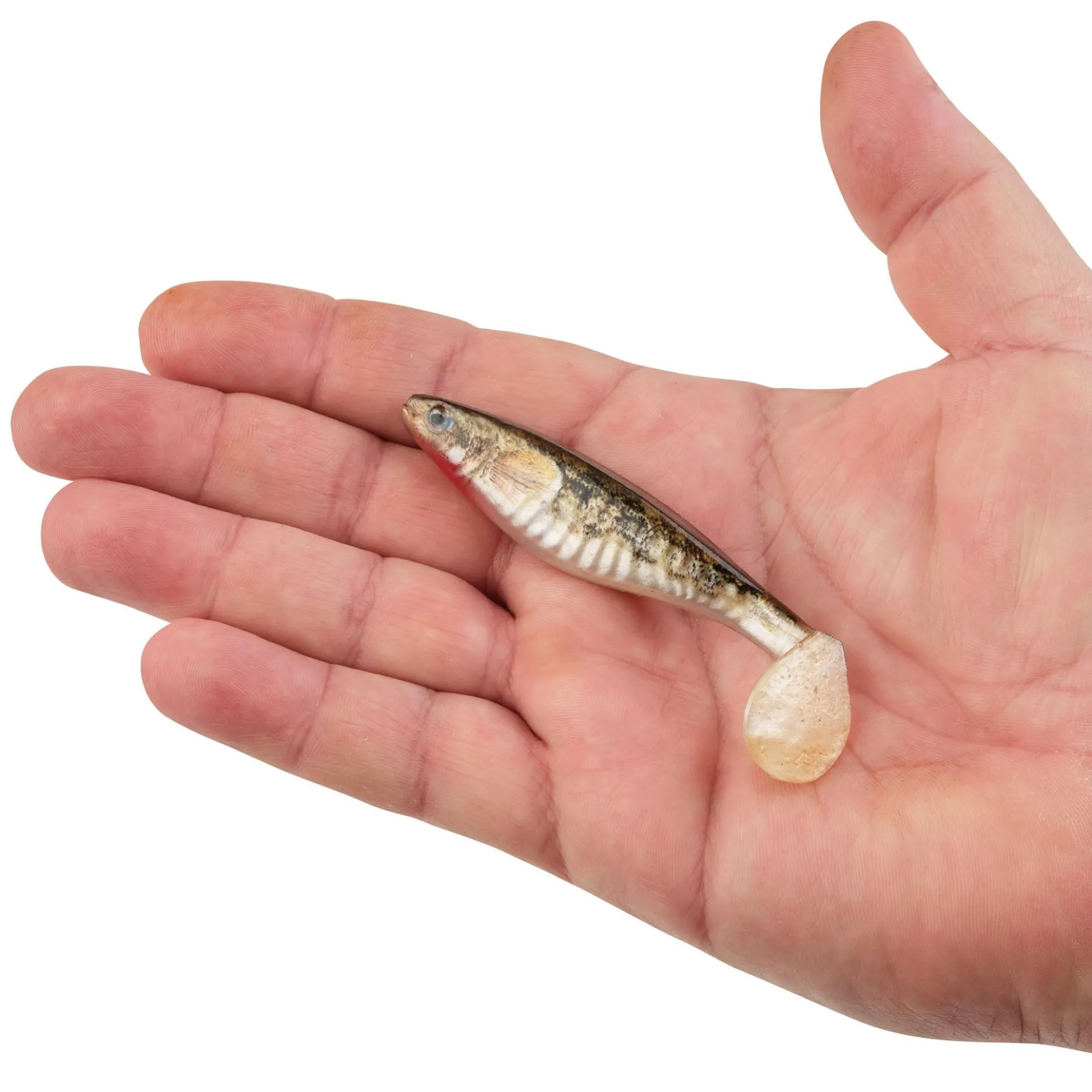 PowerBait® The Champ Swimmer