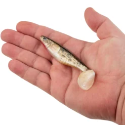 PowerBait® The Champ Swimmer