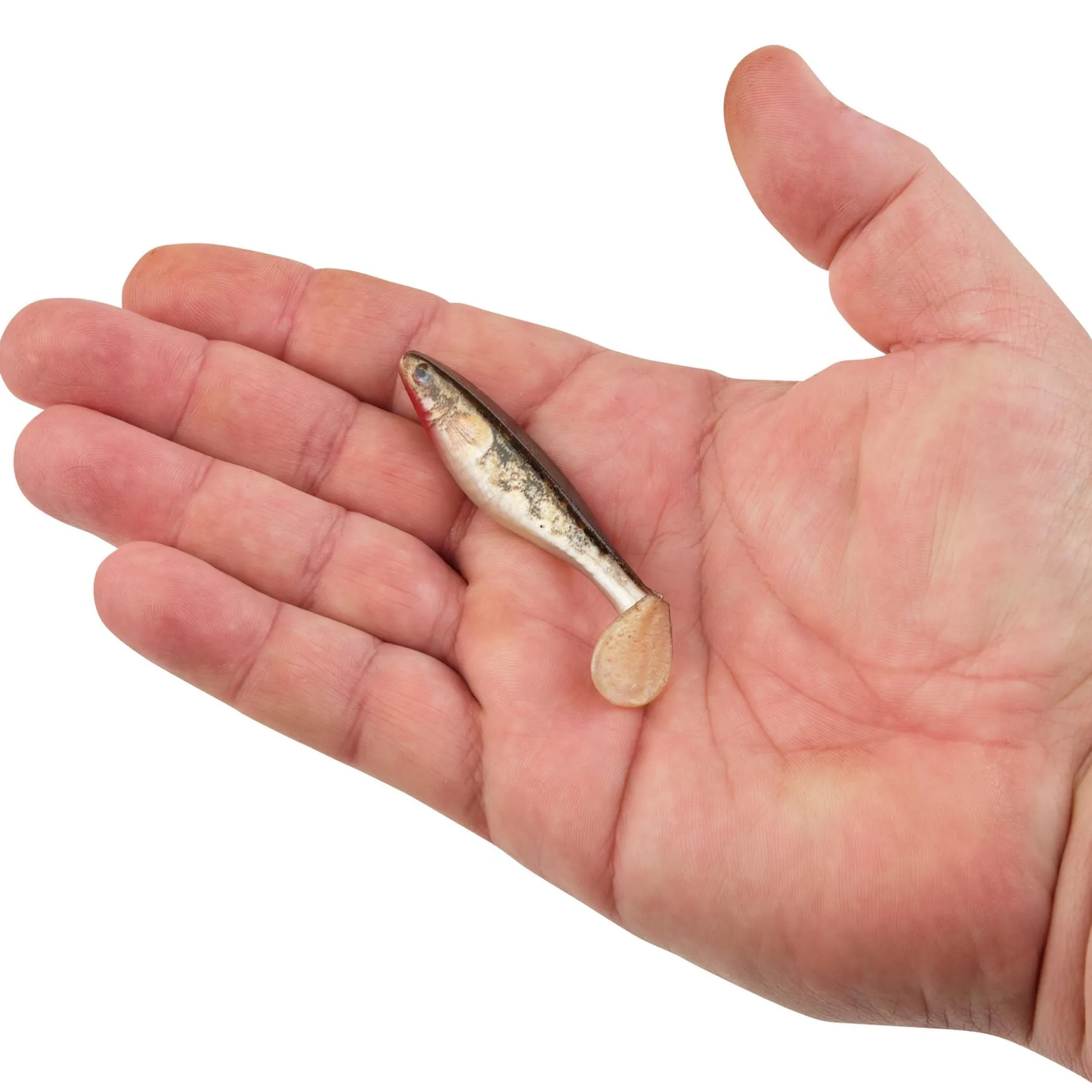 PowerBait® The Champ Swimmer