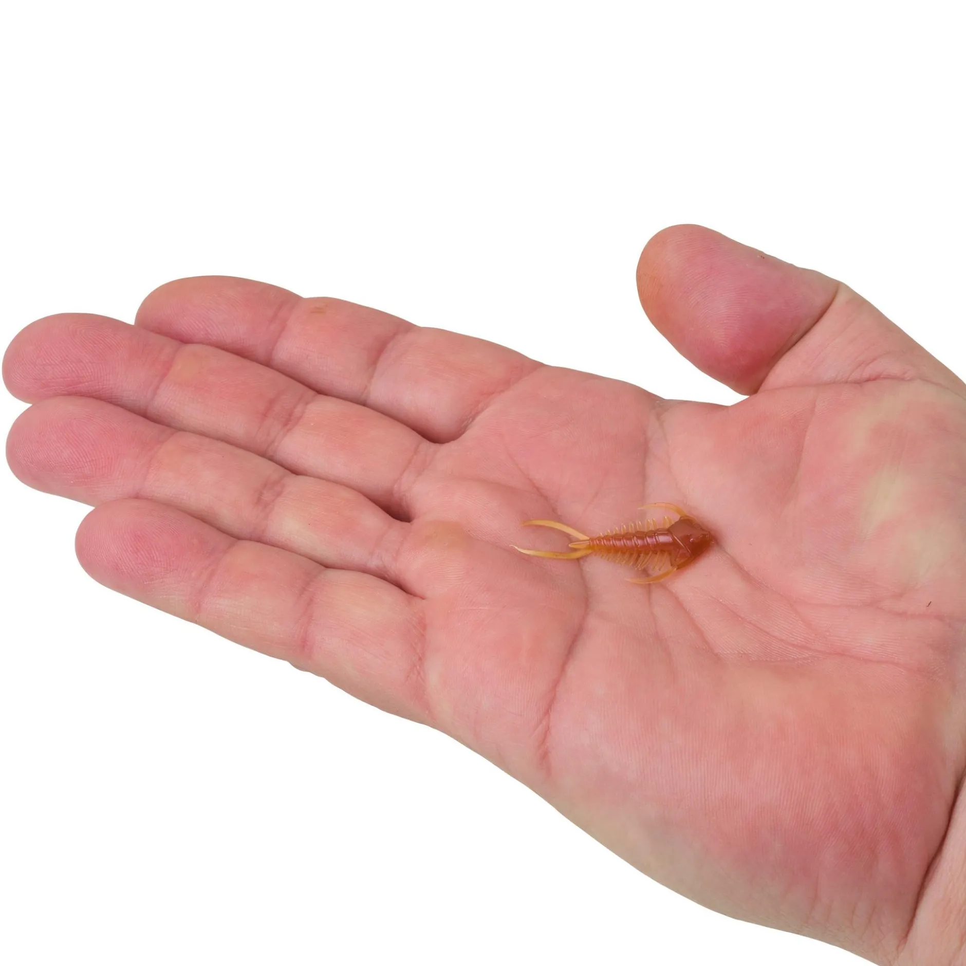 PowerBait® Trilobite