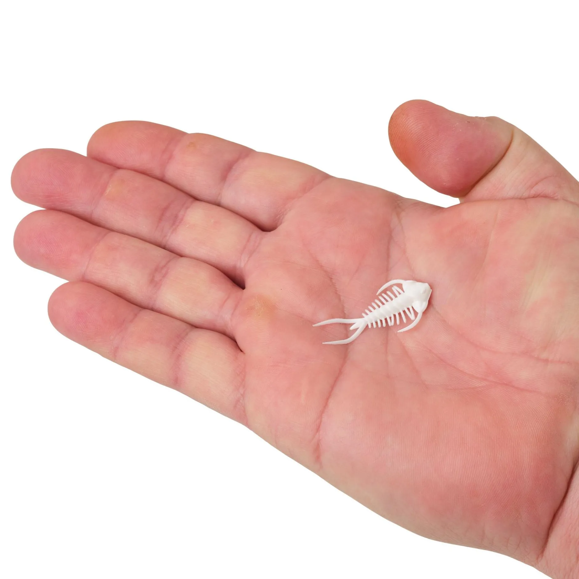 PowerBait® Trilobite