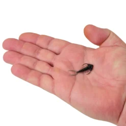 PowerBait® Trilobite