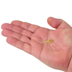 PowerBait® Trilobite