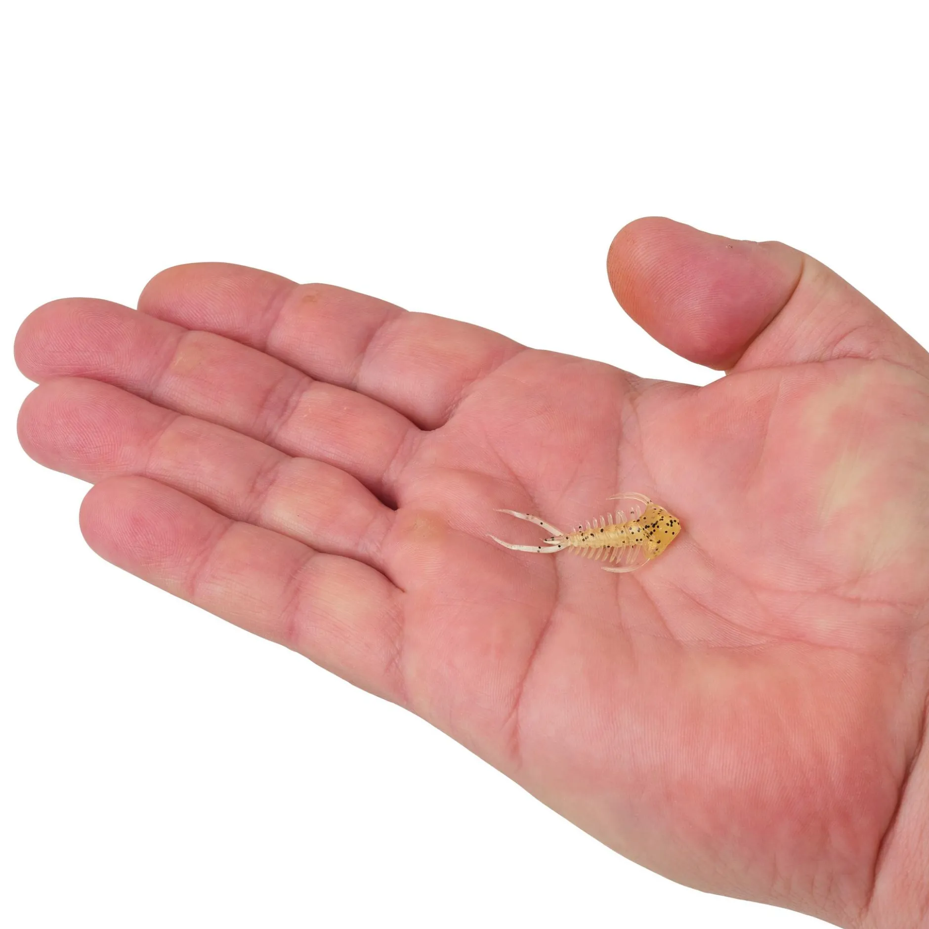 PowerBait® Trilobite