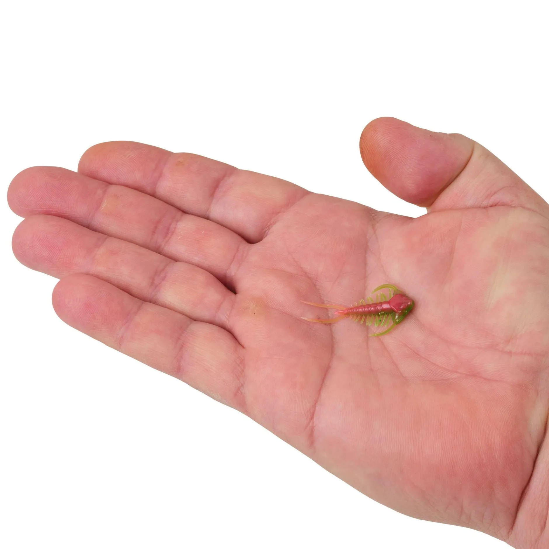 PowerBait® Trilobite