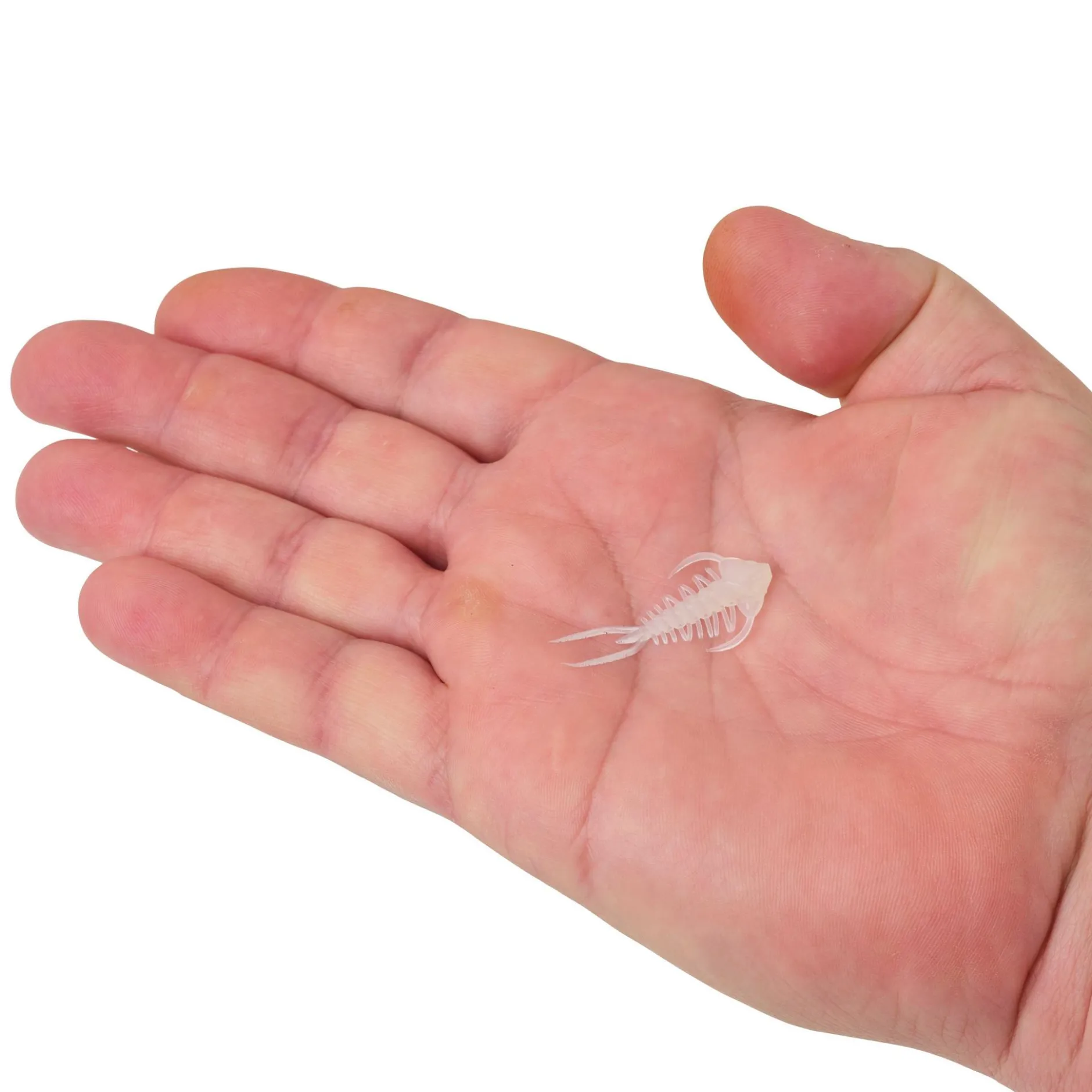 PowerBait® Trilobite