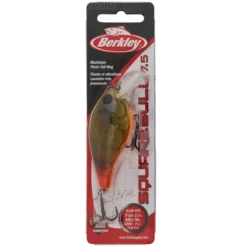 SquareBull