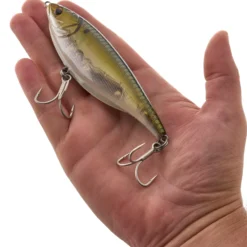 Stick Shadd Saltwater