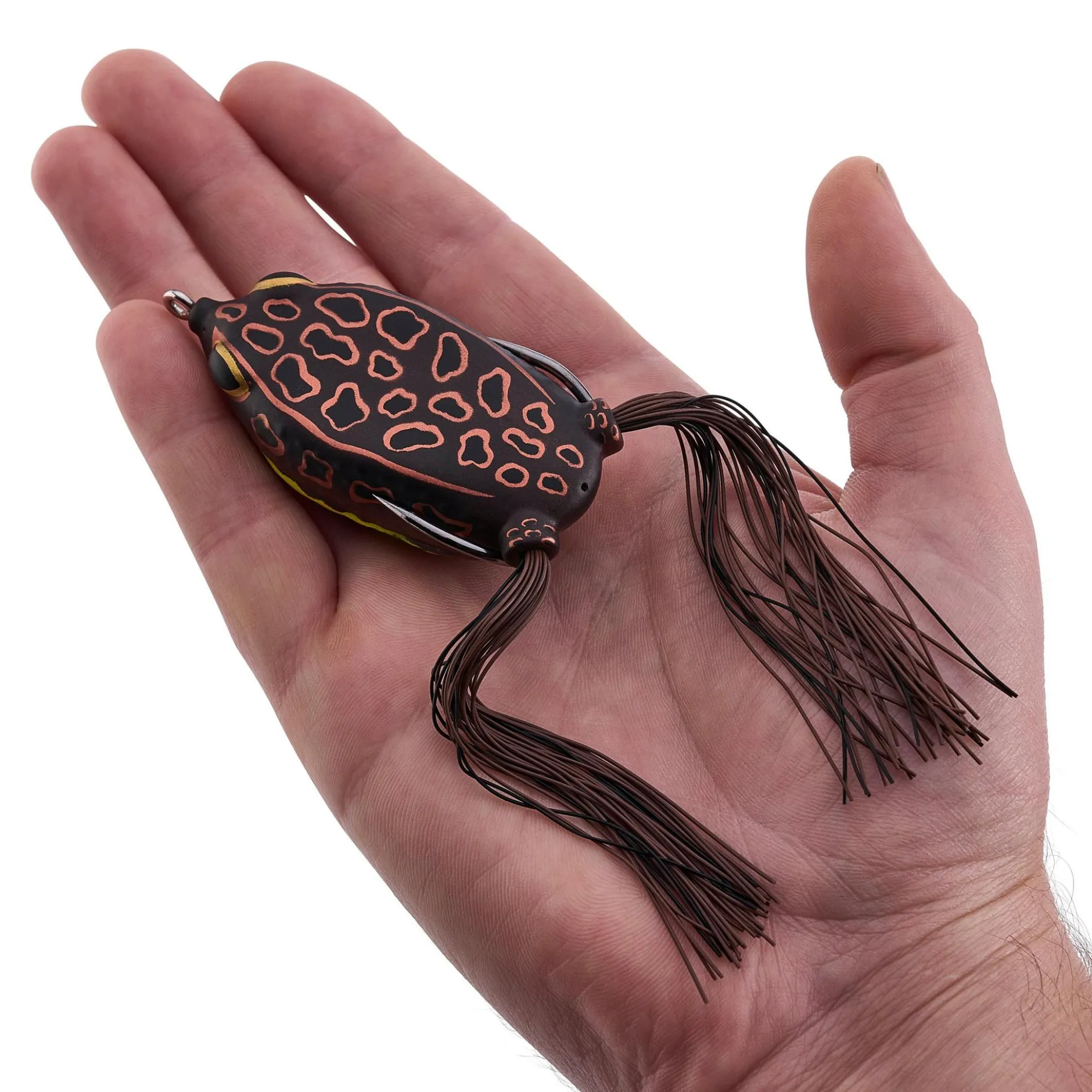Swamp Lord Hollow Body Frog